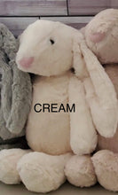 Load image into Gallery viewer, Bunny with White T-Shirt (16in)