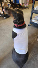 Load image into Gallery viewer, Pet Shirts
