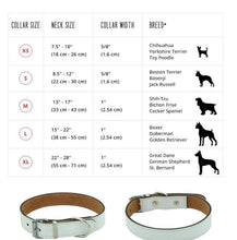 Load image into Gallery viewer, Pet Collars
